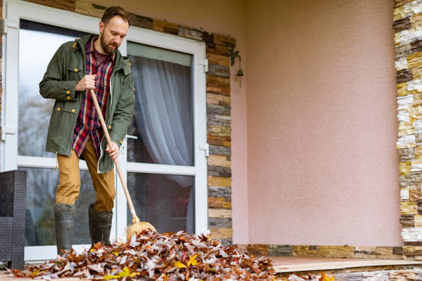 Yard Cleanup Services in Loganville, GA